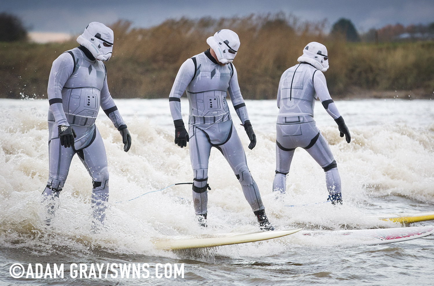 Surfers dressed as Star Wars Stormtroopers ride the Severn Bore in Gloucestershire. 27 November 2015. See SWNS story SWTROOPER: There was an unworldly sight in the Forest of Dean this morning (Friday 27th November) when a trio of Star Wars Stormtroopers surfed the spectacular Severn Bore. Key scenes from the upcoming Star Wars episode VII were filmed in nearby Puzzlewood and can be seen several times in the trailer. Swapping the Death Star for surfboards, the elite soldiers of the Galactic Empire took to the waves to mark the release of the highly anticipated new Star Wars film and a new TV & Movie Trail. The Forest of Dean’s atmospheric and picturesque location provided a natural stage for the film, which director J.J Abrams referenced in a thank you letter to all of the movie's cast and crew.
