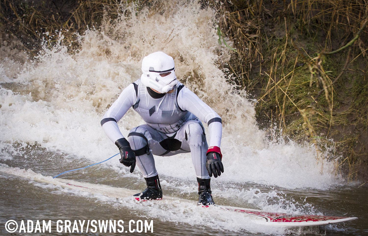 A surfer dressed as a Star Wars Stormtrooper rides the Severn Bore in Gloucestershire. 27 November 2015. See SWNS story SWTROOPER: There was an unworldly sight in the Forest of Dean this morning (Friday 27th November) when a trio of Star Wars Stormtroopers surfed the spectacular Severn Bore. Key scenes from the upcoming Star Wars episode VII were filmed in nearby Puzzlewood and can be seen several times in the trailer. Swapping the Death Star for surfboards, the elite soldiers of the Galactic Empire took to the waves to mark the release of the highly anticipated new Star Wars film and a new TV & Movie Trail. The Forest of Dean’s atmospheric and picturesque location provided a natural stage for the film, which director J.J Abrams referenced in a thank you letter to all of the movie's cast and crew.