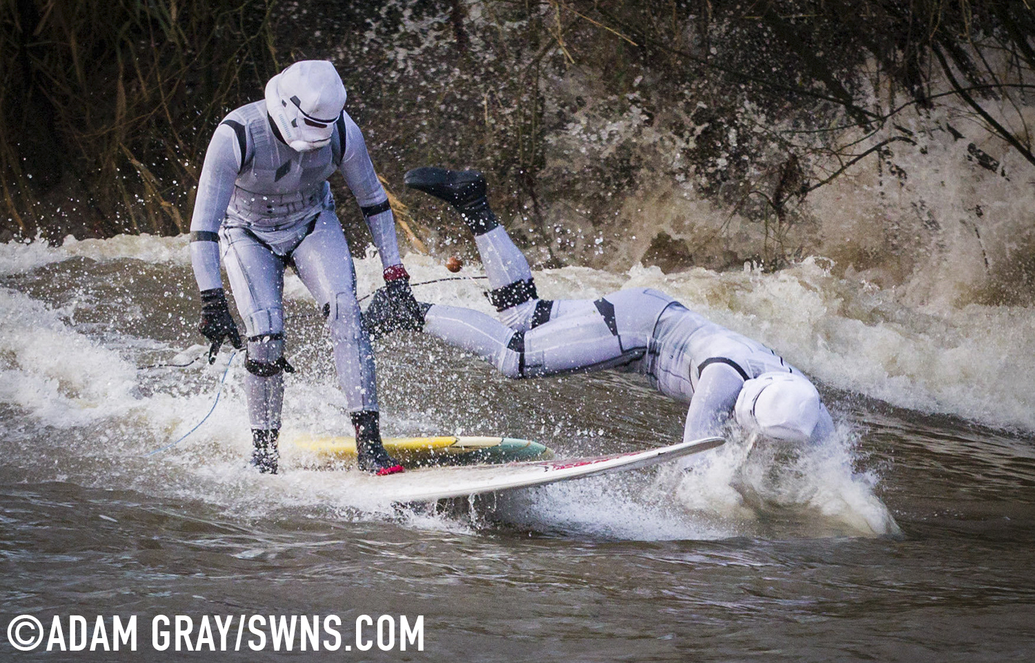 Surfers dressed as Star Wars Stormtroopers ride the Severn Bore in Gloucestershire. 27 November 2015. See SWNS story SWTROOPER: There was an unworldly sight in the Forest of Dean this morning (Friday 27th November) when a trio of Star Wars Stormtroopers surfed the spectacular Severn Bore. Key scenes from the upcoming Star Wars episode VII were filmed in nearby Puzzlewood and can be seen several times in the trailer. Swapping the Death Star for surfboards, the elite soldiers of the Galactic Empire took to the waves to mark the release of the highly anticipated new Star Wars film and a new TV & Movie Trail. The Forest of Dean’s atmospheric and picturesque location provided a natural stage for the film, which director J.J Abrams referenced in a thank you letter to all of the movie's cast and crew.