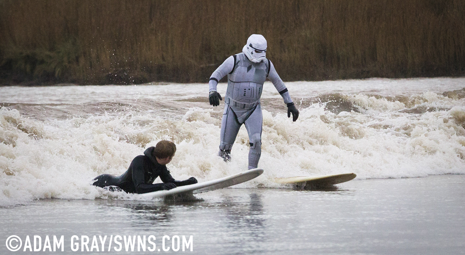 A surfer dressed as a Star Wars Stormtrooper rides the Severn Bore in Gloucestershire. 27 November 2015. See SWNS story SWTROOPER: There was an unworldly sight in the Forest of Dean this morning (Friday 27th November) when a trio of Star Wars Stormtroopers surfed the spectacular Severn Bore. Key scenes from the upcoming Star Wars episode VII were filmed in nearby Puzzlewood and can be seen several times in the trailer. Swapping the Death Star for surfboards, the elite soldiers of the Galactic Empire took to the waves to mark the release of the highly anticipated new Star Wars film and a new TV & Movie Trail. The Forest of Dean’s atmospheric and picturesque location provided a natural stage for the film, which director J.J Abrams referenced in a thank you letter to all of the movie's cast and crew.