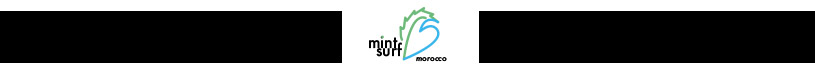 MintSurf_Homepage