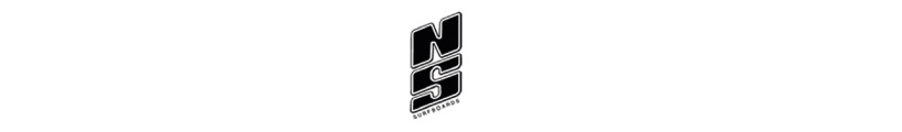 NS-Logo