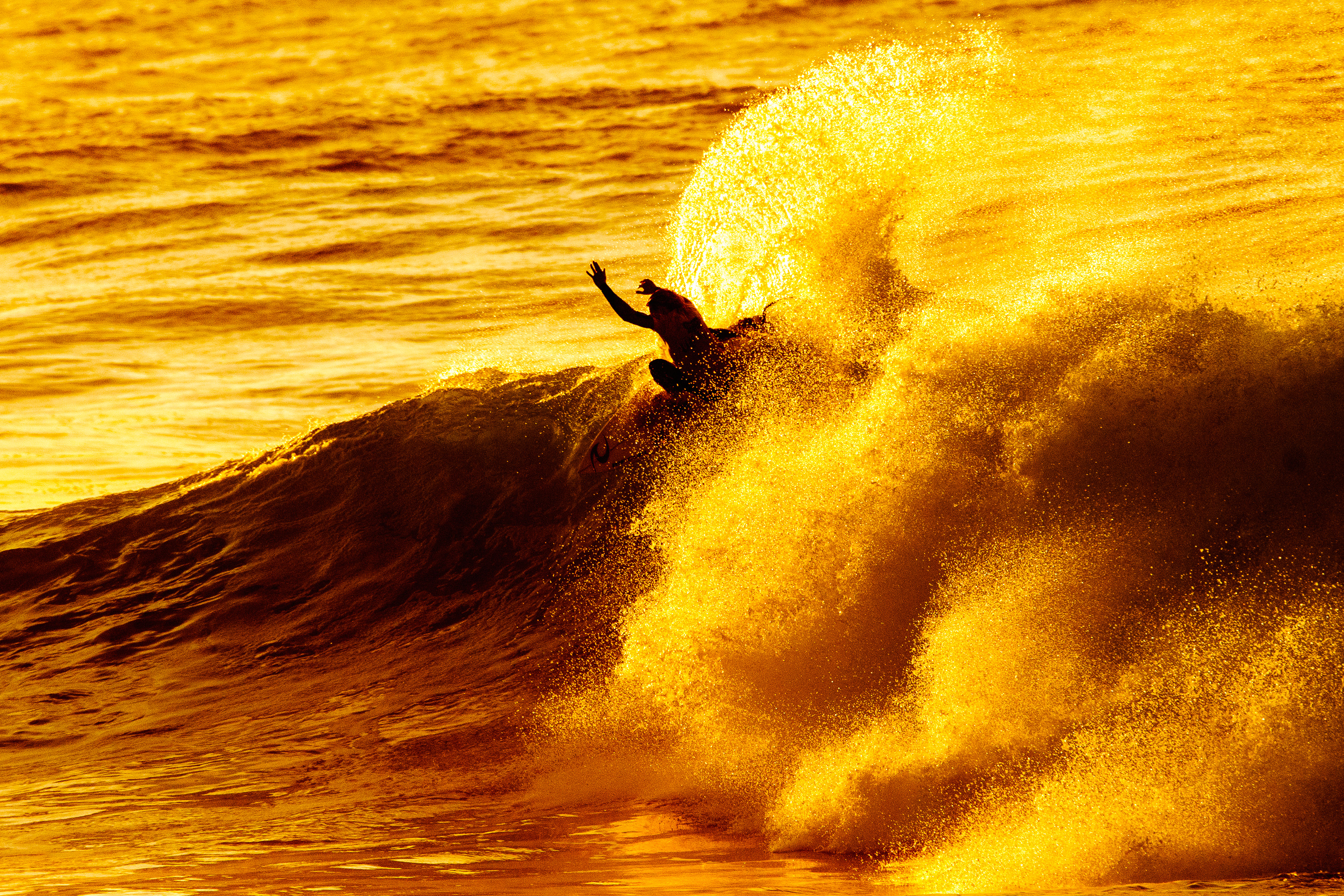 golden surfing future