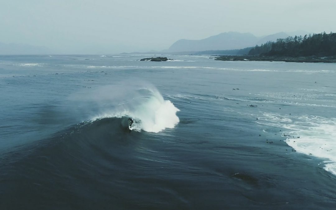 Pete Devries … Blackout