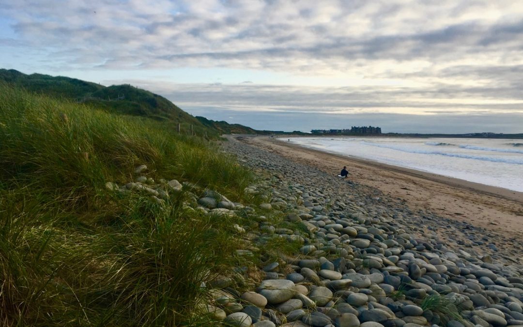 ‘A Walk On the Beach’ – Stop Donald Trump’s Seawall!