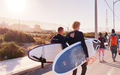 Carve Jobs Board