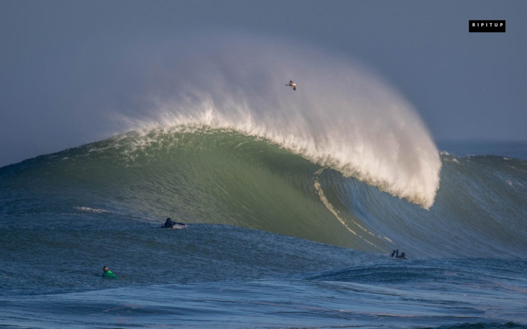 THIS IS HOSSEGOR