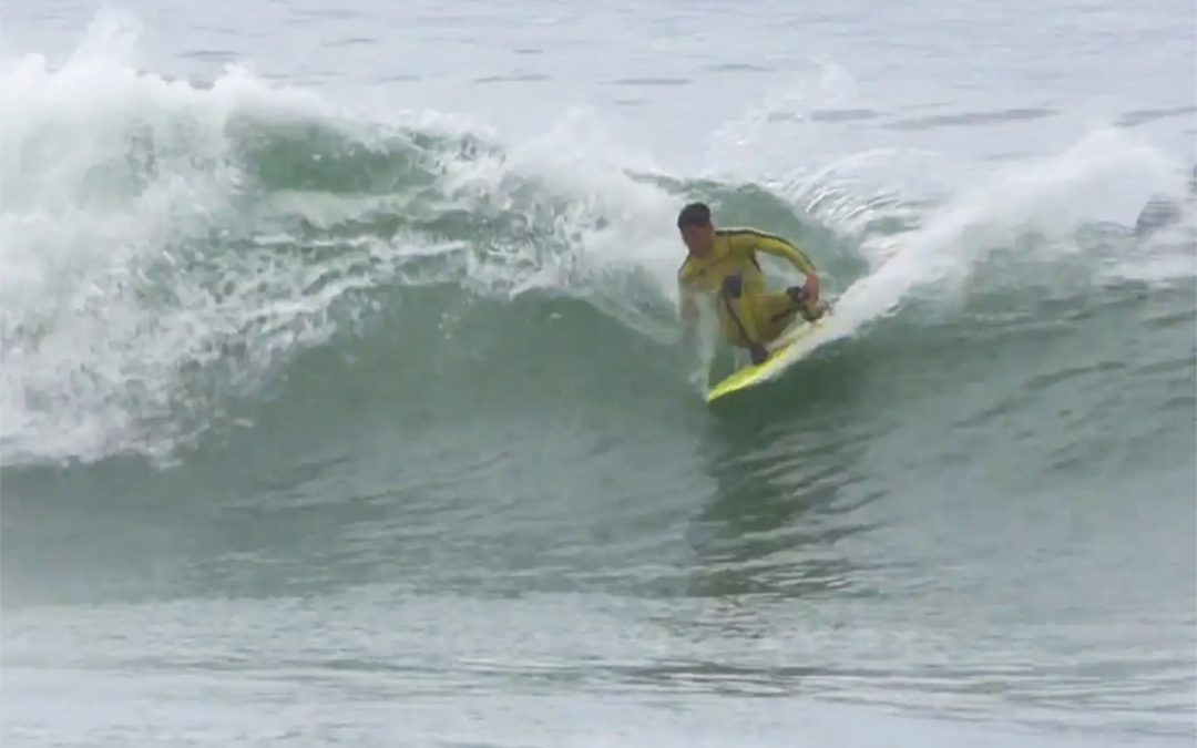 Finless At Lowers