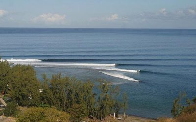 Surfer dies at St Leu after shark ‘attack’