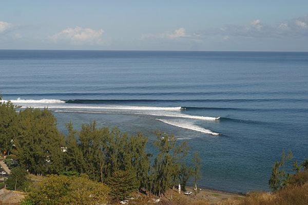 Surfer dies at St Leu after shark ‘attack’