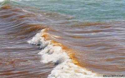 Water companies performance “unacceptable” – South West Water, Southern Water and Yorkshire Water fail to deliver