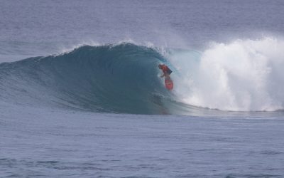 Kerrsy, Parko, Kai Lenny, Wilko, Wiggoly and Pele to fight it out on single fins, thrusters and twinnies at 2019 Four Seasons Champions Trophy