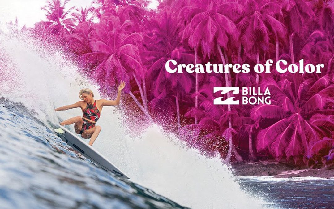 Creatures of Colour