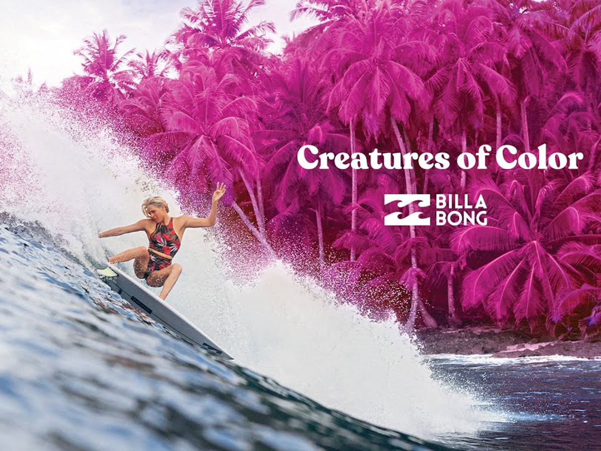 Creatures of Colour