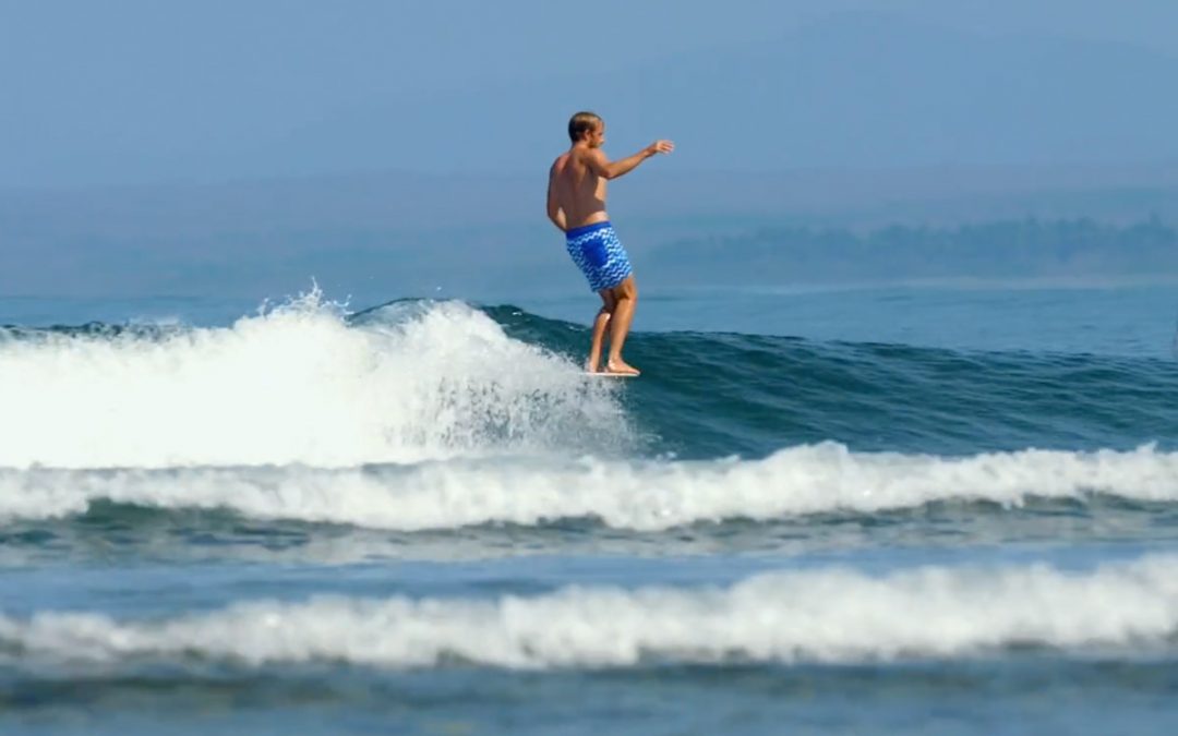 Mexi Log Fest – Free Surfing