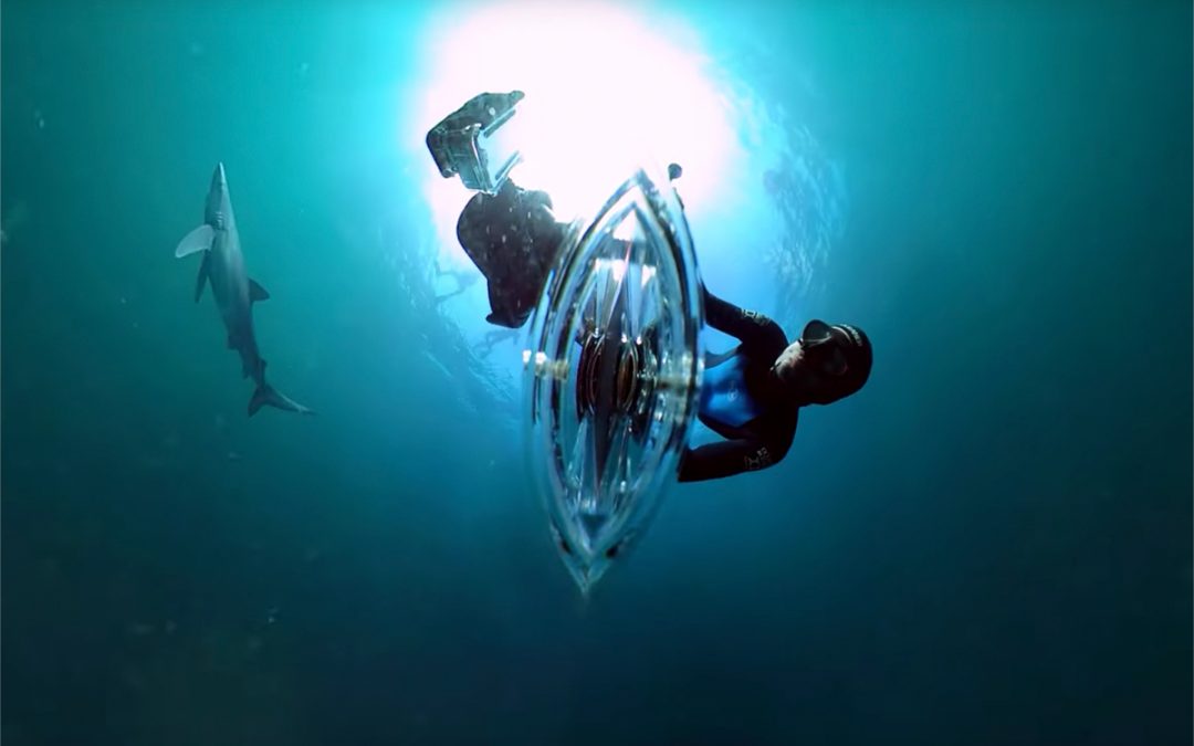 Freediving with a shark in Cornwall, UK