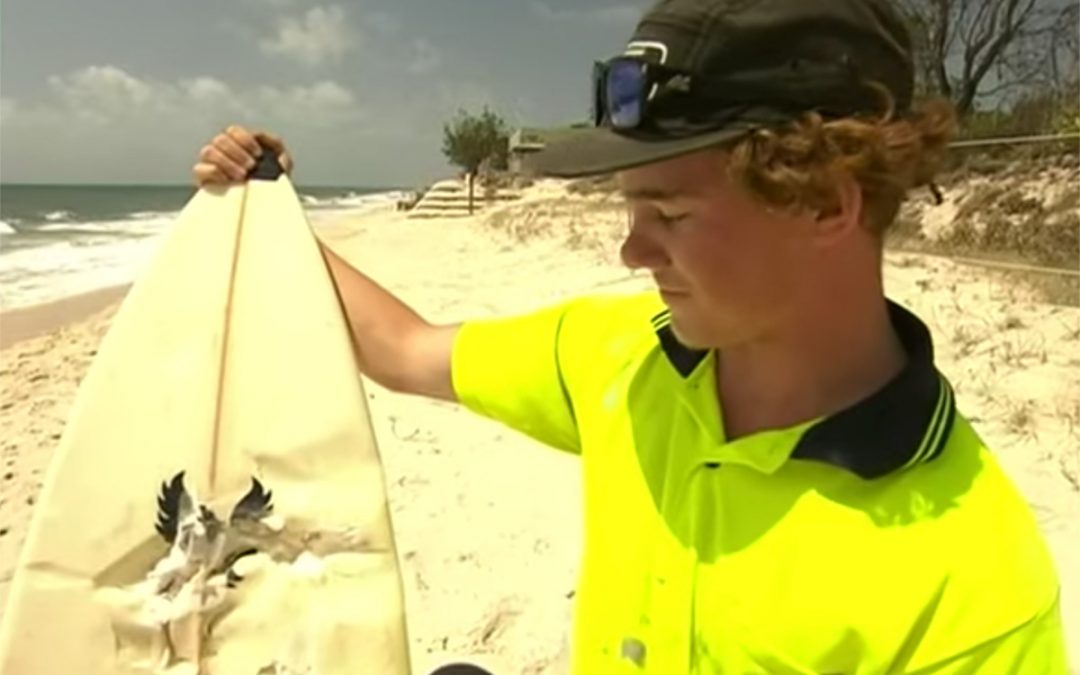 BRIBIE ISLAND SURFER HAS CLOSE CALL WITH A SHARK