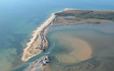 Could Bournemouth get it’s own version of the Snapper Superbank? A new proposal says “Yes…”