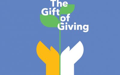 Patagonia – Black Friday – Double Your Impact to Fight the Environmental Crisis