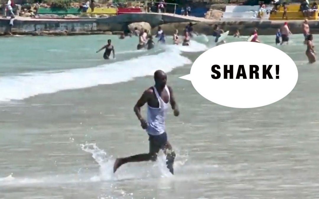 Shark Causes Panic at Cape Town Beach