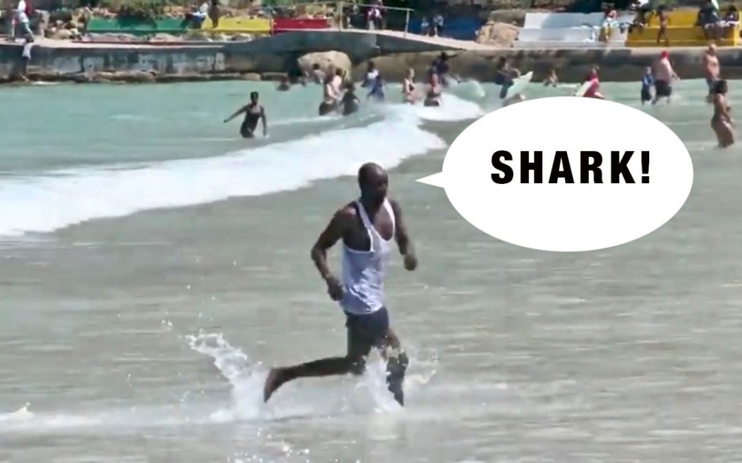 Shark Causes Panic at Cape Town Beach