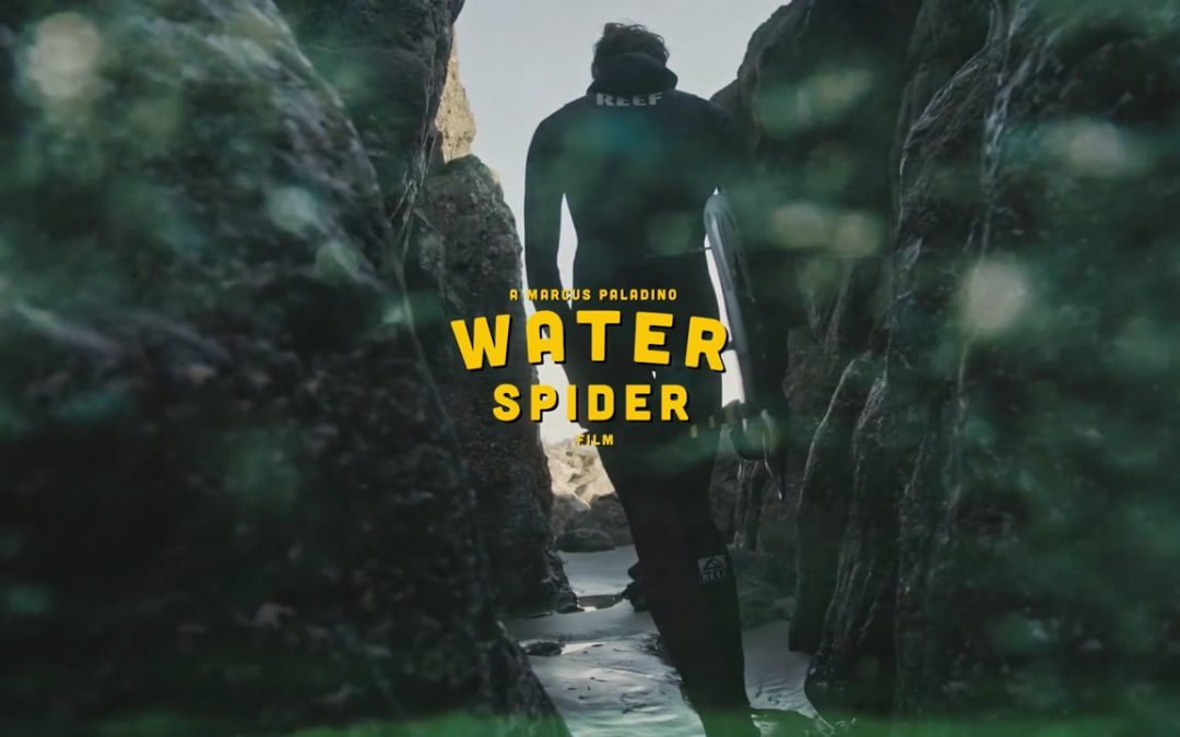 Waterspider