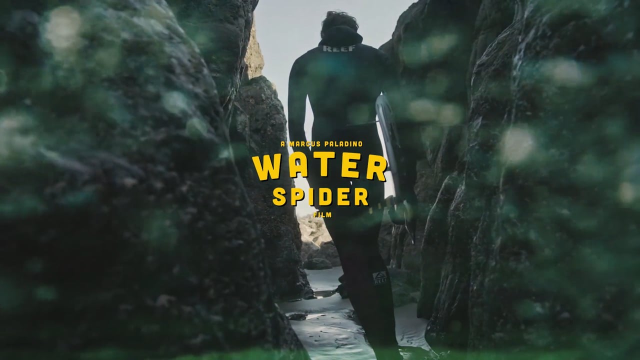 Waterspider