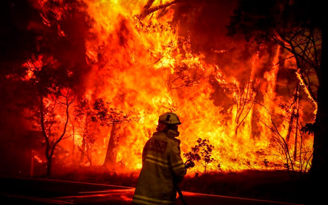 Boardriders Bushfire Relief Efforts