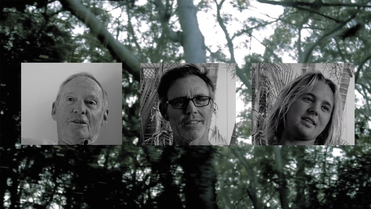 Generations – 82-50-18.
