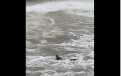 Surfer survives five mile ordeal in Storm Ciara current