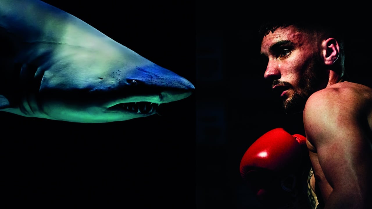 Kiwi surfer tells great white to “F**K off” and punches it in the eye as it chews his board.