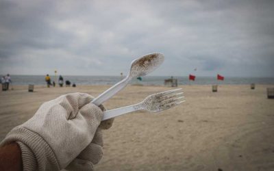 Ocean Activists Unite for UK’s Biggest Beach Clean Weekend