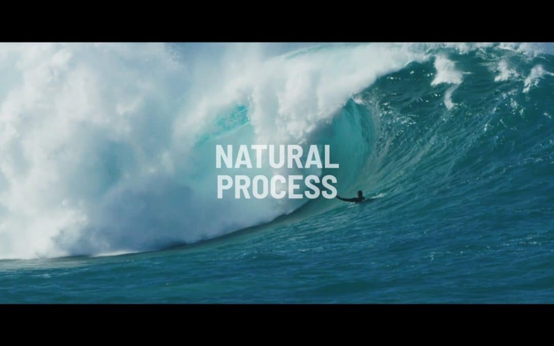 Natural Process – Albee Layer and friends.