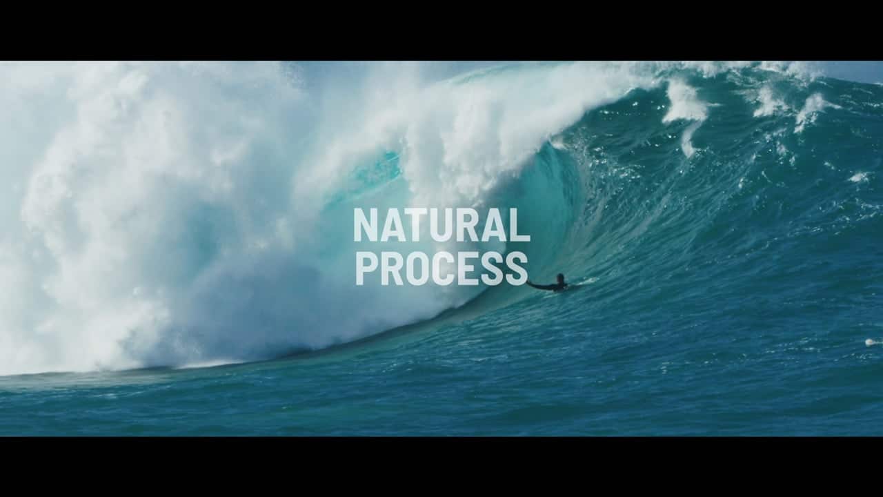 Natural Process – Albee Layer and friends.