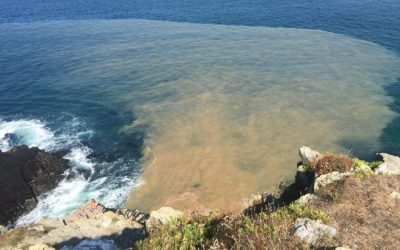 Updated: Fake news, what is the true Risk of COVID-19 Transmission from Sewage Discharge?