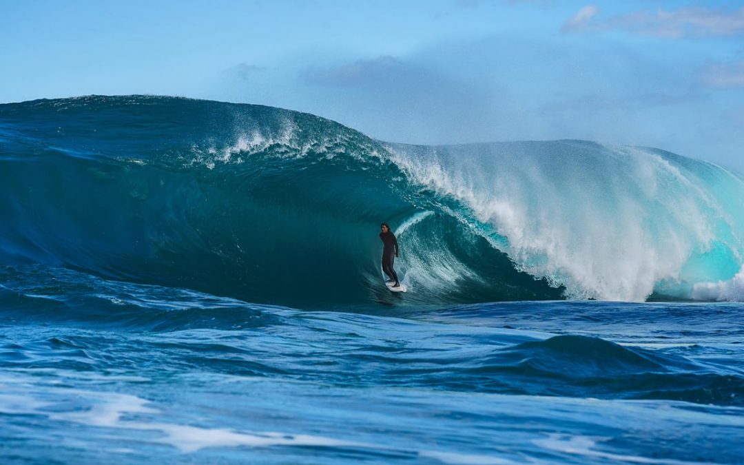 Shelf Isolation- Ollie Henry