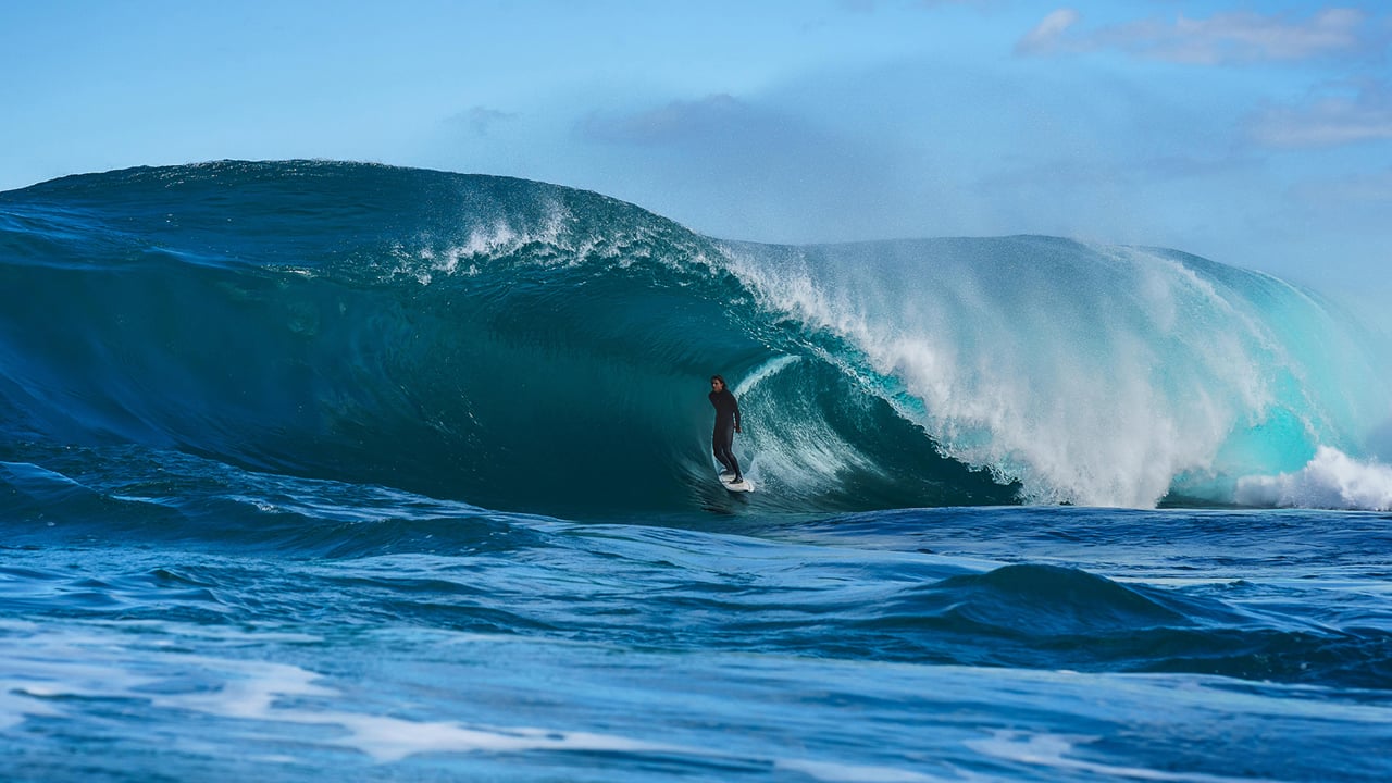 Shelf Isolation- Ollie Henry