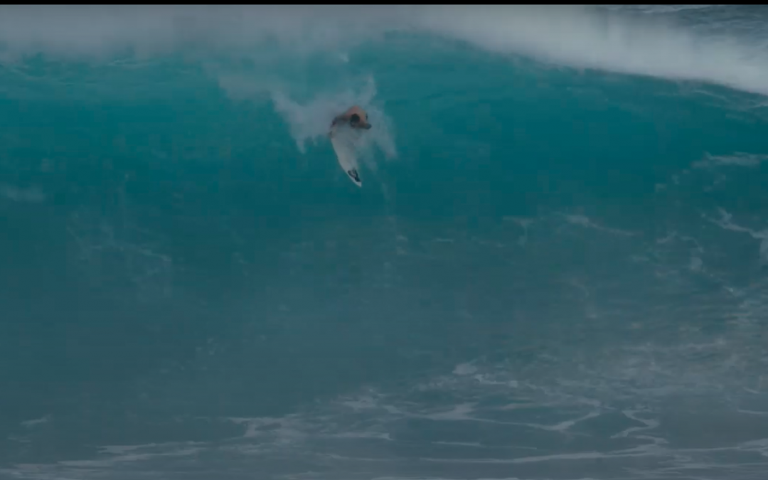Mikey Wright – Back in The Water