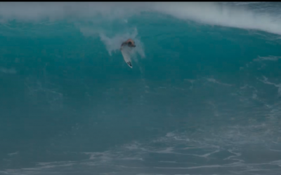 Mikey Wright – Back in The Water