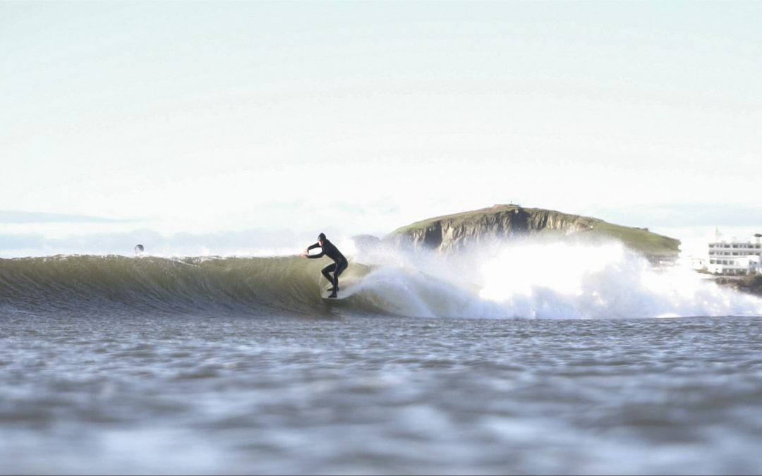 Blend – Sixteen days at home in South Devon with local standout Joe Harding.