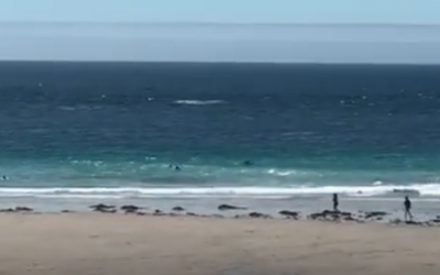 Mass rescue – Sennen Voluntary Surf Patrol