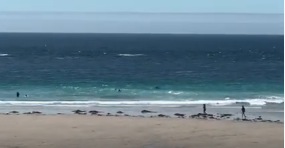 Mass rescue – Sennen Voluntary Surf Patrol