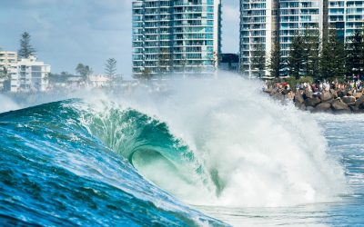 World Surf League Cancels 2020 Season