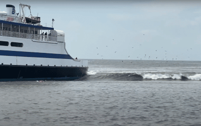 Ferry Waves…