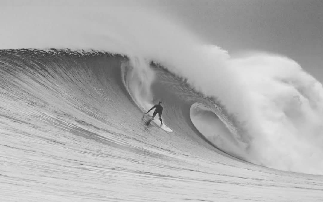 Absolutely Pitted In Mexico