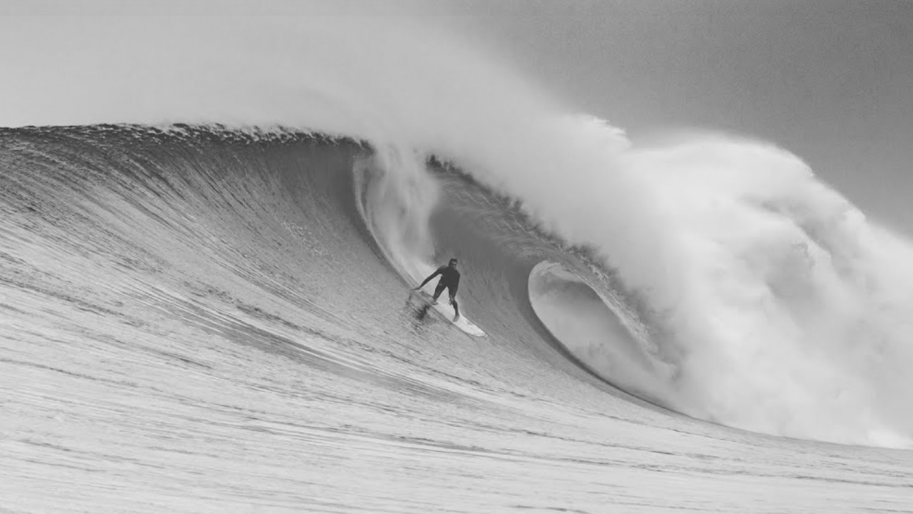 Absolutely Pitted In Mexico