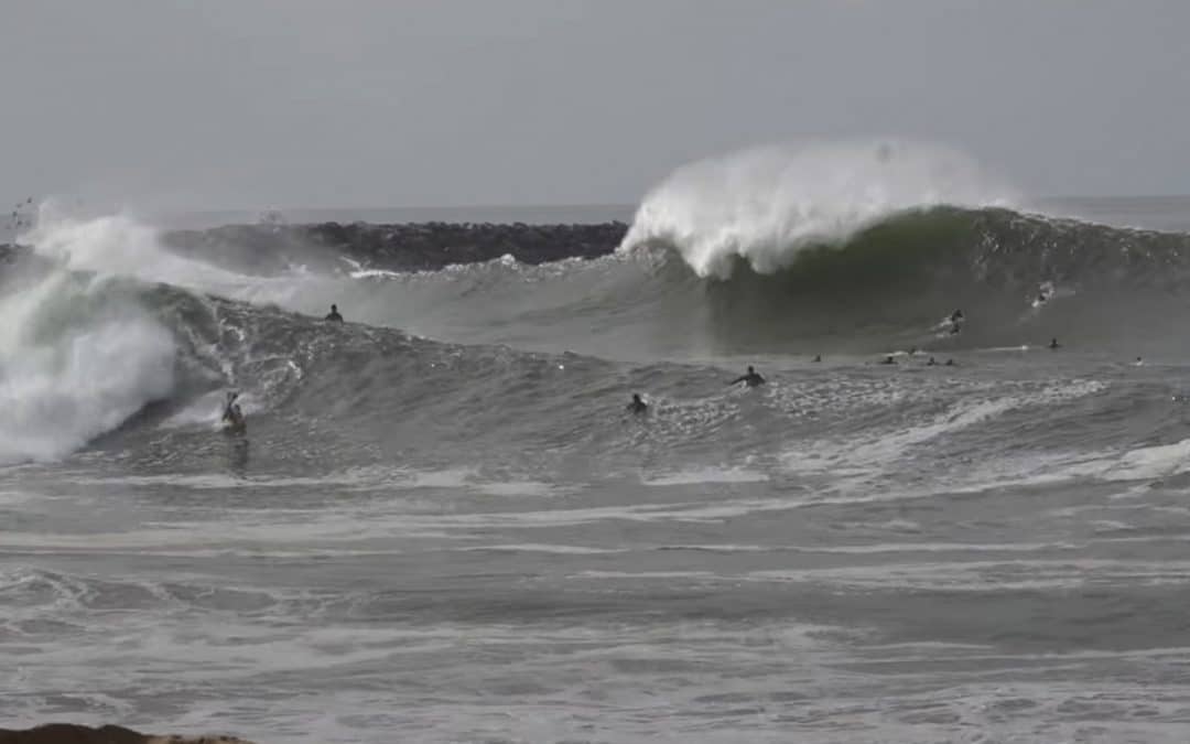 The Wedge: Raw