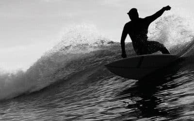 Carve Winter Wetsuit Guide