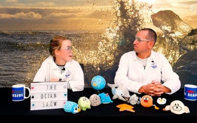 Adobe backs The Ocean Show