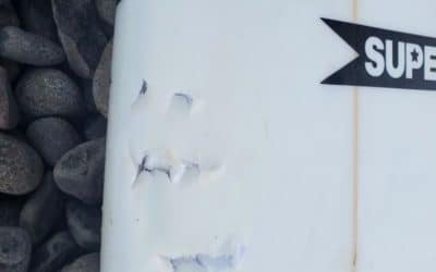 Surfer bitten by shark